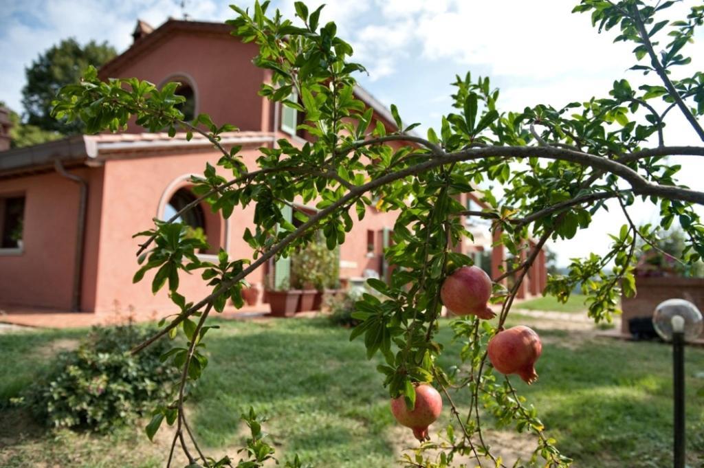 Podere Chiaromonte Палая Екстериор снимка